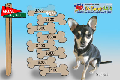 Truffles collects $745 in donations!
