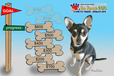 Truffles' collections progress